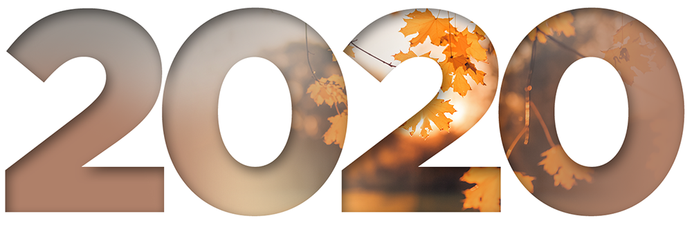 2020 fiscal year