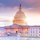 government contracts capital building
