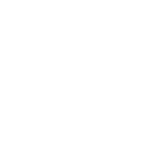 GSE logo transparent