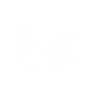 GSE logo 1