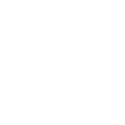 white logo